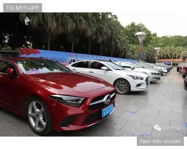 阿萨尔森那架私人飞机停了三天，城里不少人都认不出这不是明星豪车了吧？